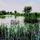 Радищевский район 9